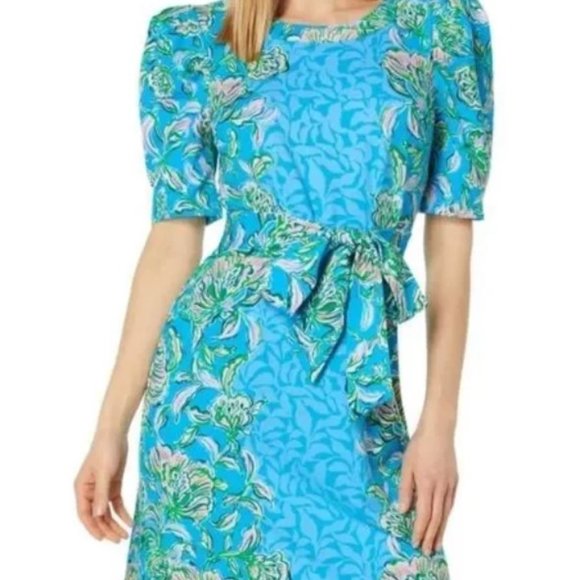 NWT Lilly Pulitzer Dress Pattern Chick Magnet, Size L - Picture 1 of 4